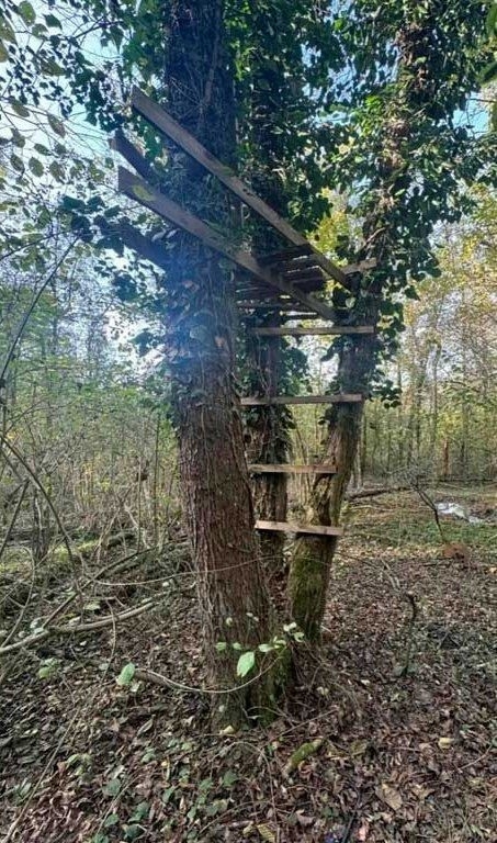 В Сочи уничтожили браконьерский схрон
Инспекторы нац...