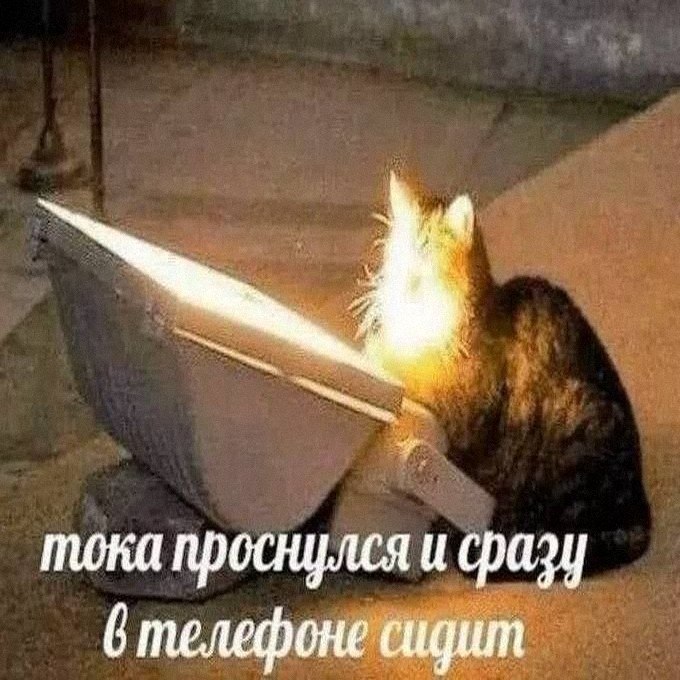 Утренняя подборочка