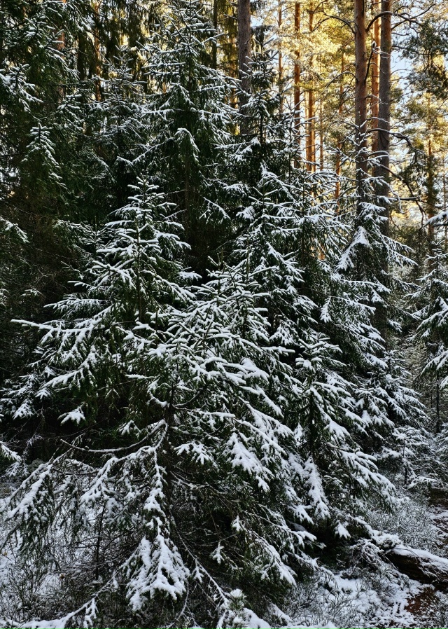 Доброго утра, Никольск❤