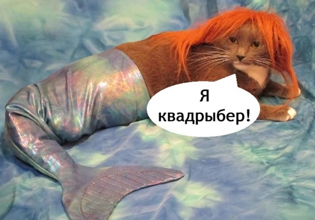 Мама ну реально