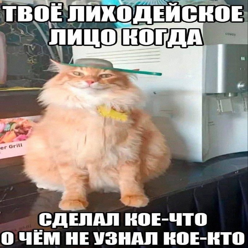 Утренняя подборочка