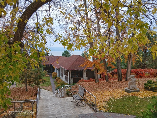 Впереди выходные, погода без дождя.🌤 Прекрасная возмо...