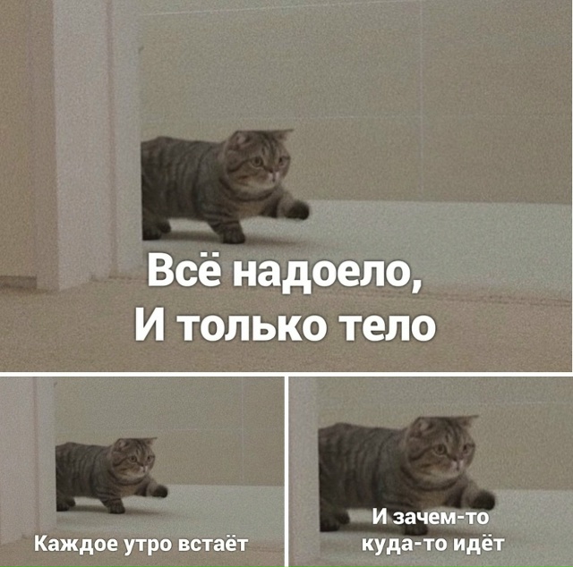 Мое состояние по утрам! Доброе утро Коломна☀