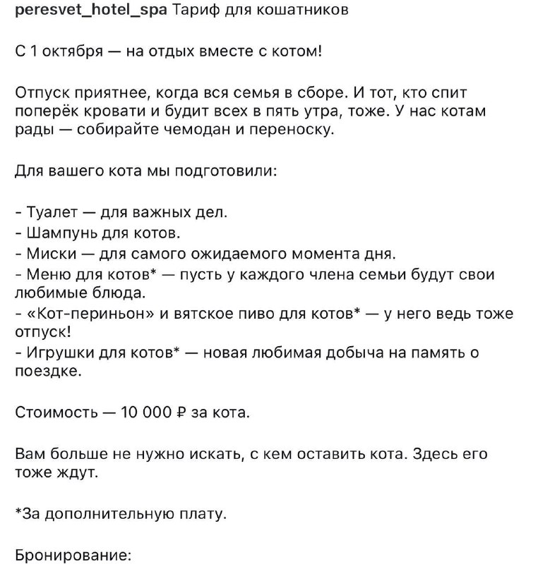 Милотааа: подмосковный отель запустил люксовый тариф спа для кошатников — за 10 000₽ ваш пушистый др