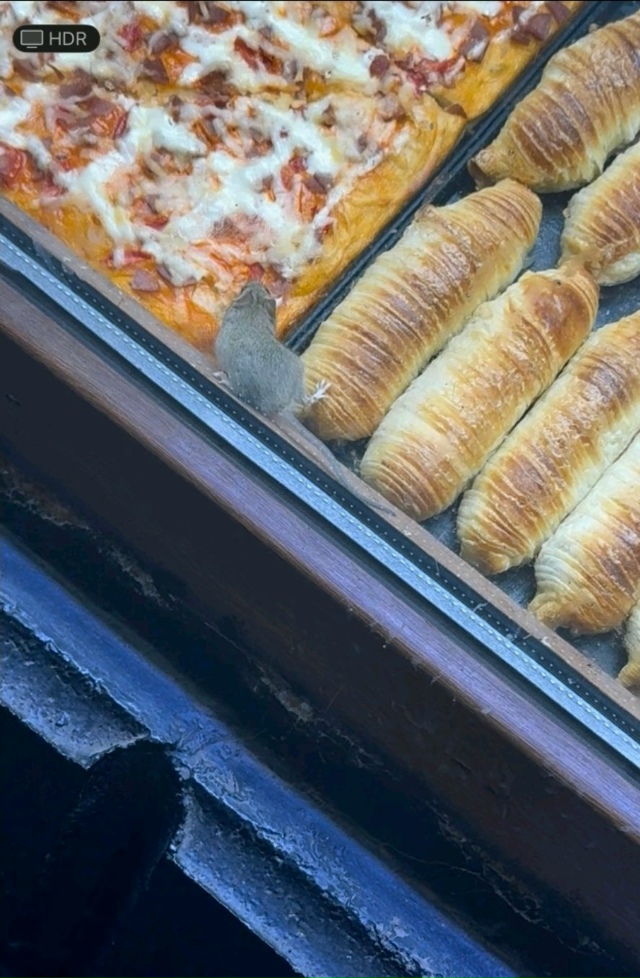 Осторожнее покупайте пироги (пиццы, самсу) в ларьках‼??...