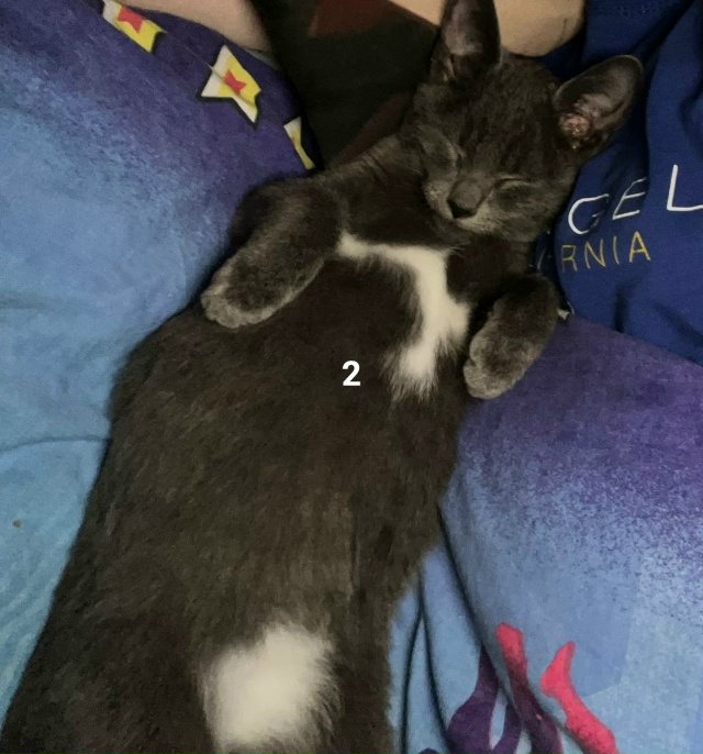 #ПотерялиНашлиПомогите
1 Утеряны ключи от машины райо...