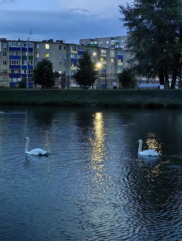 Летний вечер в парке ❤
