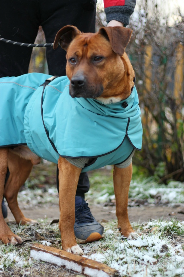 Серпухов, Протвино , Москва и вся Московская область.
С...
