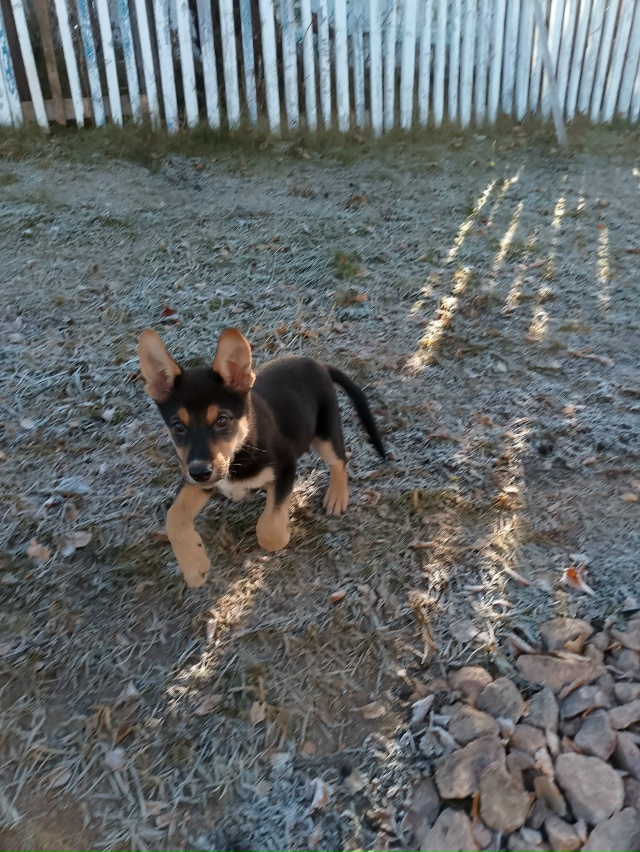 г. Бородино
Даша – 3 месяца
Очень активная, жизнерадост...