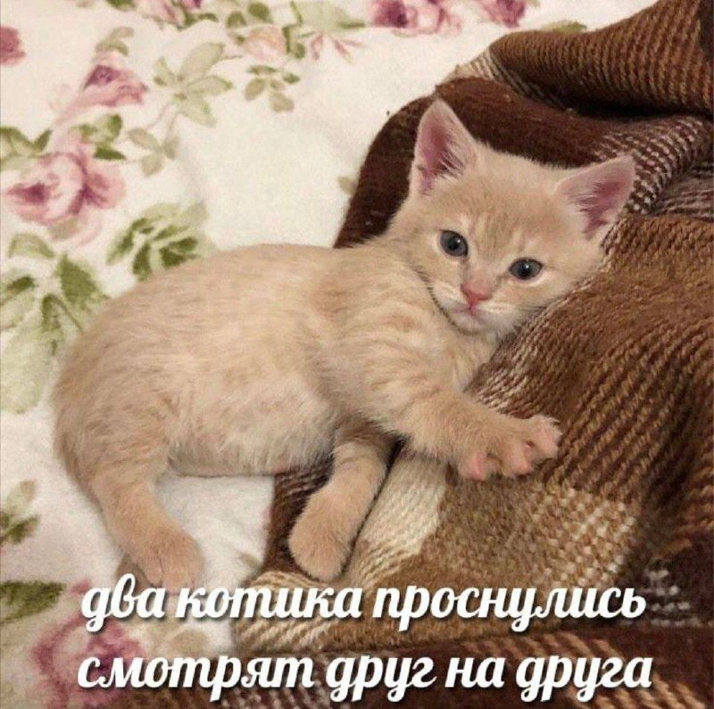 Утренняя подборочка