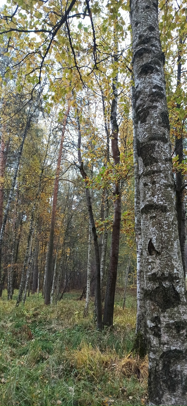 Доброй ночи, Никольск❤