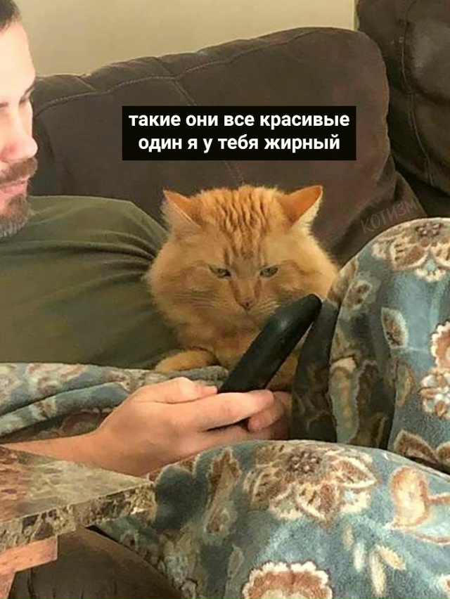 Если и любовь – то только такая!