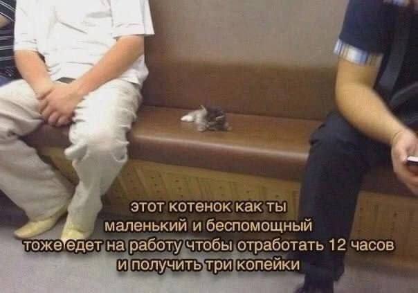 Утренняя подборочка