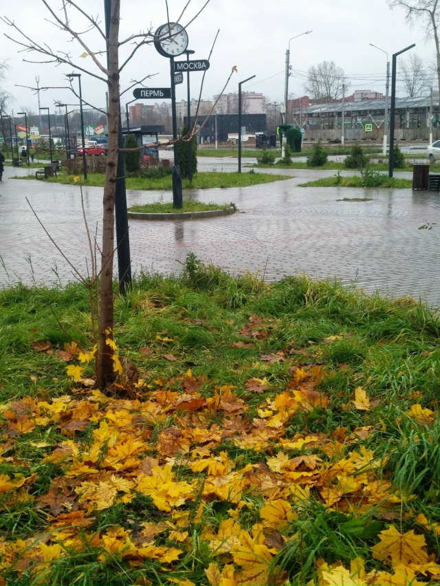 Доброе утро ⛅
Фото: Светлана Лоскутова