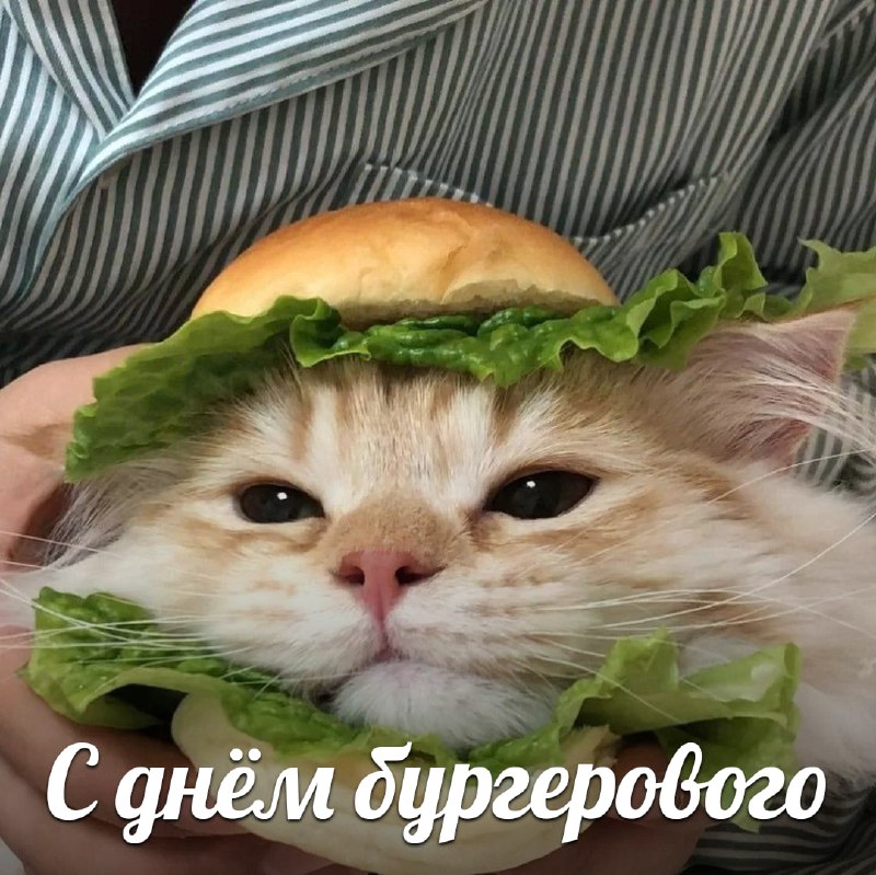 Сегодня отмечается День гамбургера
В этот день можно есть их в любых количествах, и никто не имеет