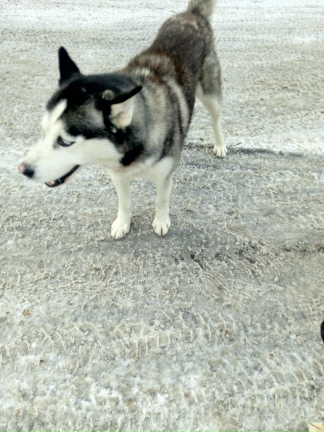 Пропустите, пожалуйста
🆘️🆘️🆘️🆘️🆘️🆘️🆘️🆘️?...