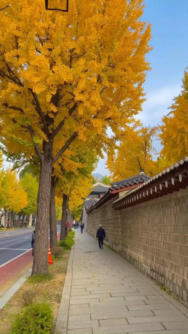 Корейские обои 🍂