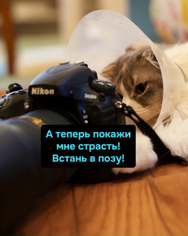 Когда работаешь 6/1, страсть выражается только в звуке х...