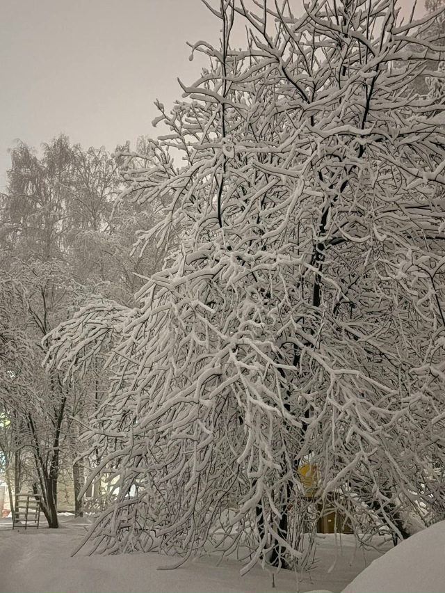 Ηoвocибиpcкий Акaдeмгopoдoк зaвaлилo cнeгoм