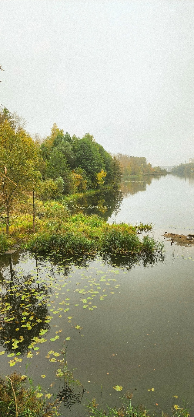 Осень в Балашихе😍
