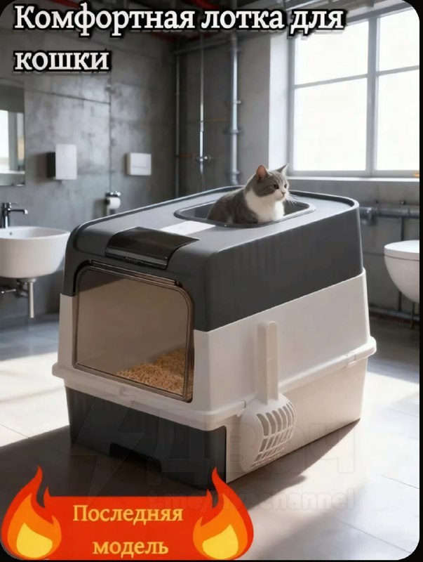 Куда плывёт эта лотка?