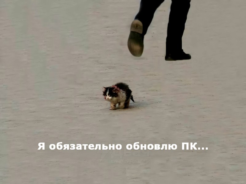 ‼️Подорожание оперативной памяти было только началом — теперь подорожали SSD ИИ-корпорации и дата-ц