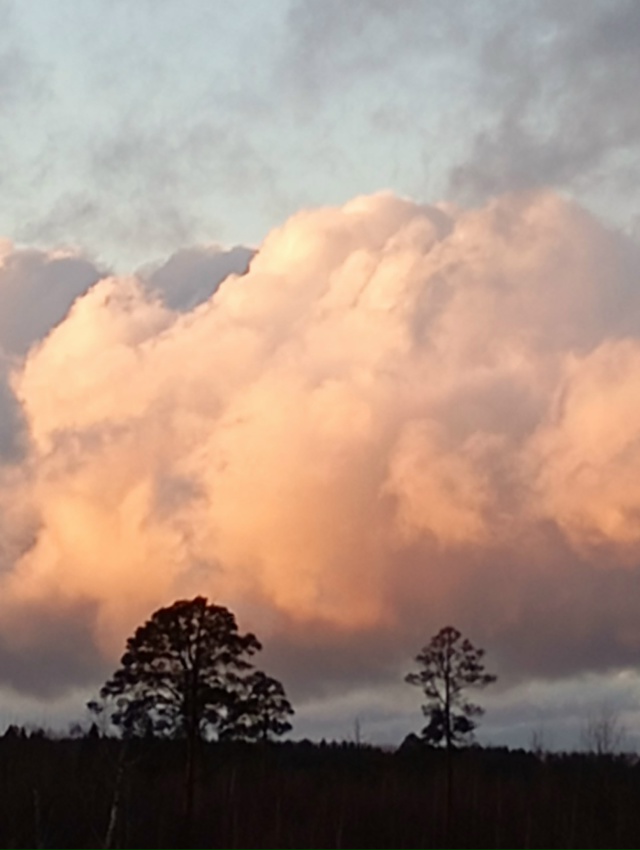 В ноябрьском закате - вся палитра уходящей осени...(25.11.25...