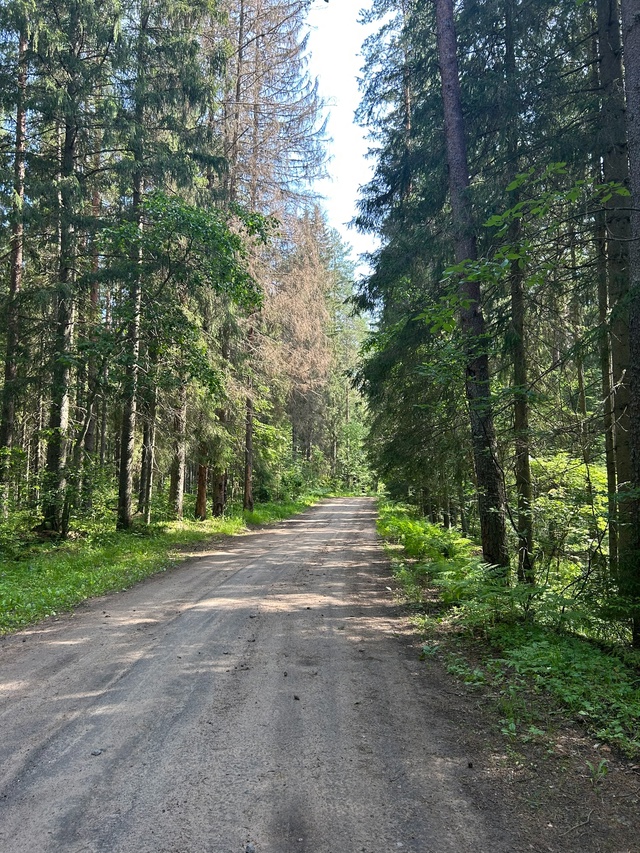 Кто рано встает - тому Бог подает🕊️