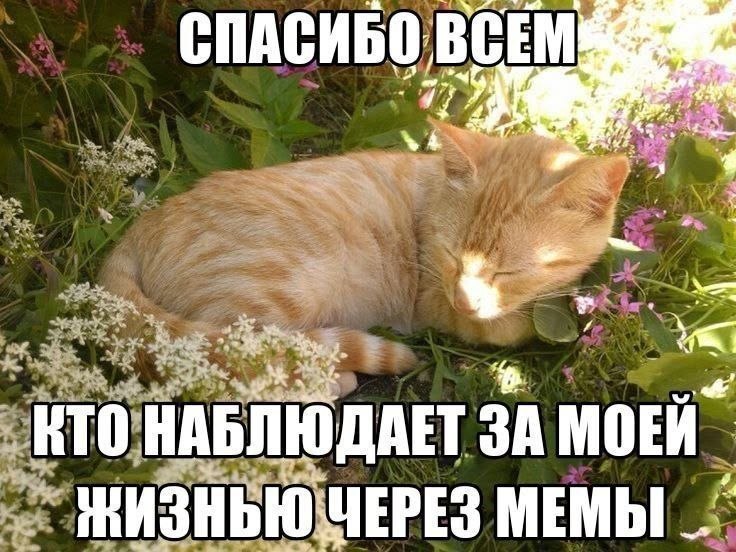 Утренняя подборочка