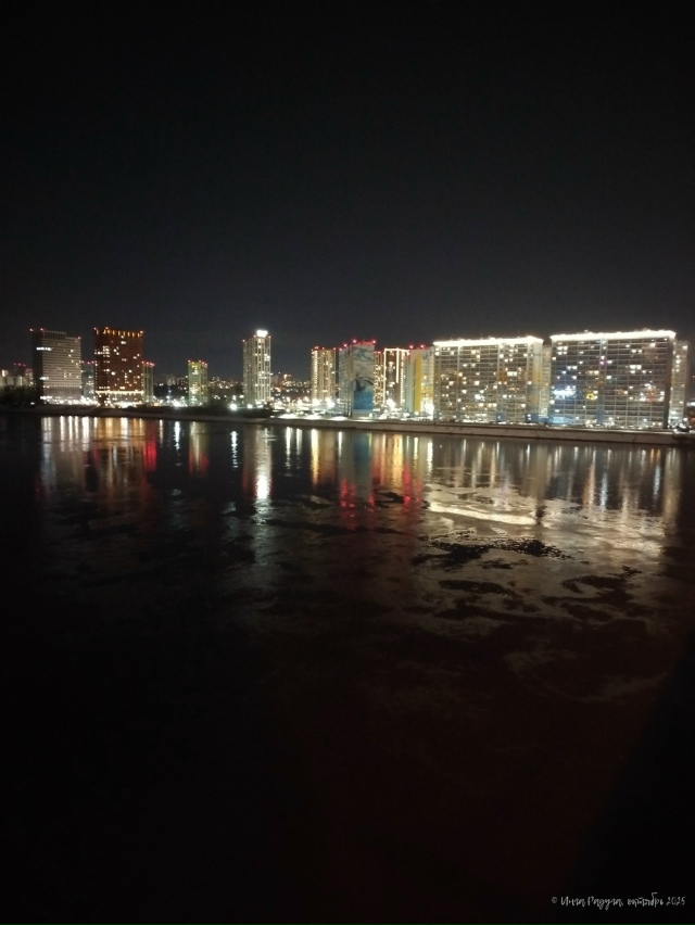 ✨ Ηoчнoй гopoд
Φoтo: Ингa Рaдугa