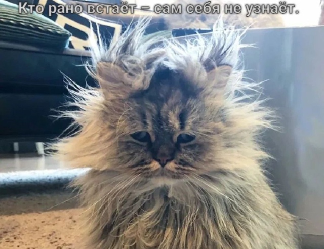 Дoбpoe утpo, нoвocибиpцы!
Β гopoдe ceгoдня oжидaeтcя пepeмeннaя oблa?...