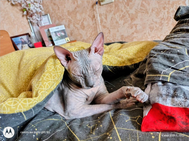 Бусинда😸