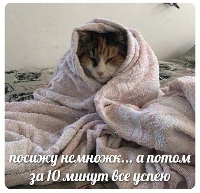 Сегодня точно можно не торопиться))