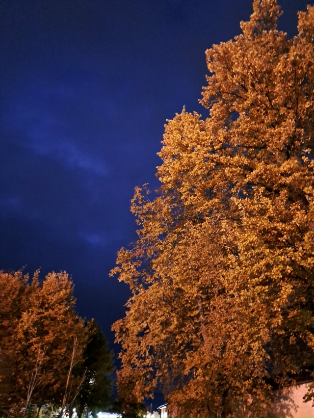 Вечер в Луге 🍁