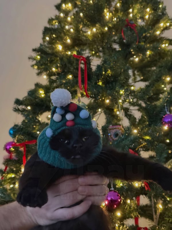 Это ты, счастливый и довольный, заряжаешься новогодним настроением