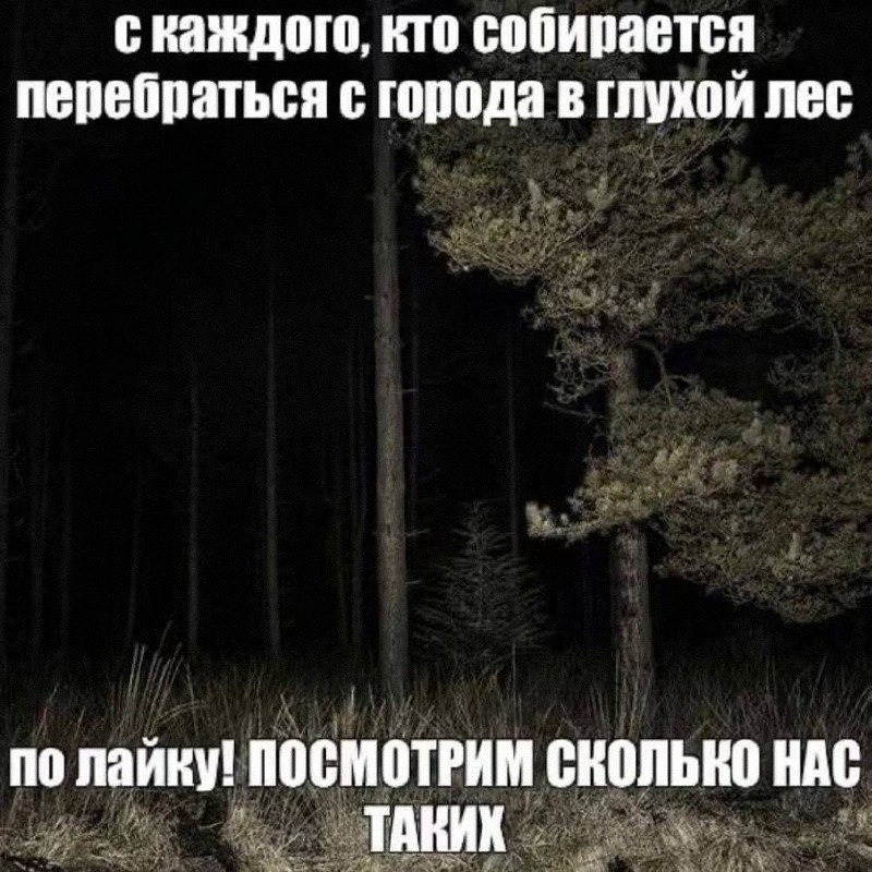 Утренняя подборочка