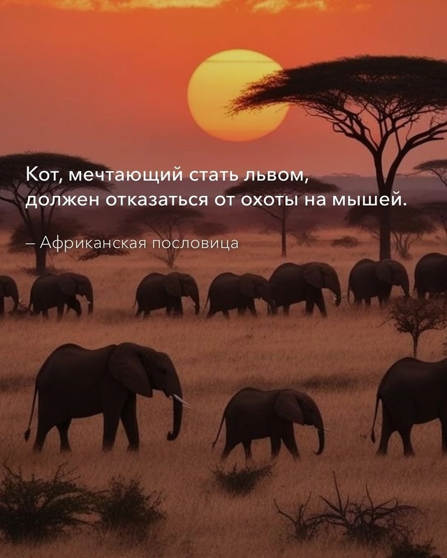 У каждого народа есть свои мудрости.