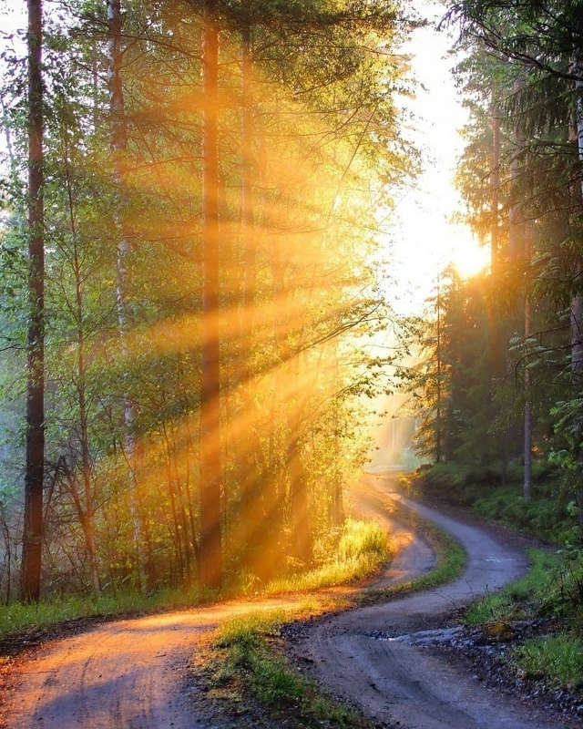 Бывают в жизни такие моменты, когда вдруг хочется очис?...