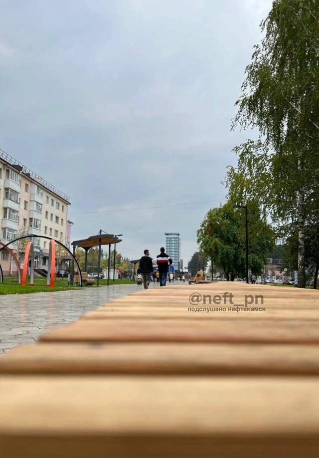 Иду крч по аллее на юбилейной и три подряд женщины корм...