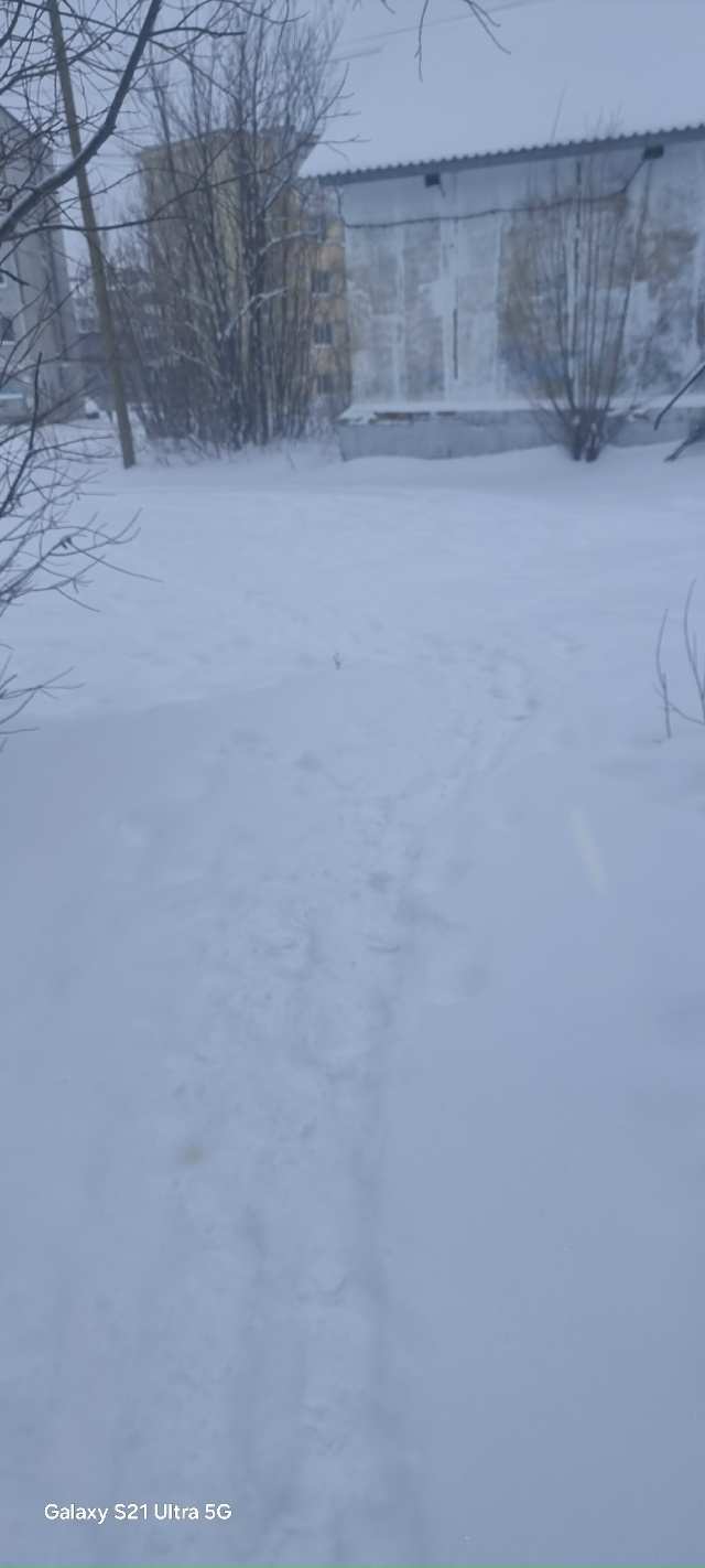 Хотелось бы узнать у градоначальников
1) когда тропинк?...