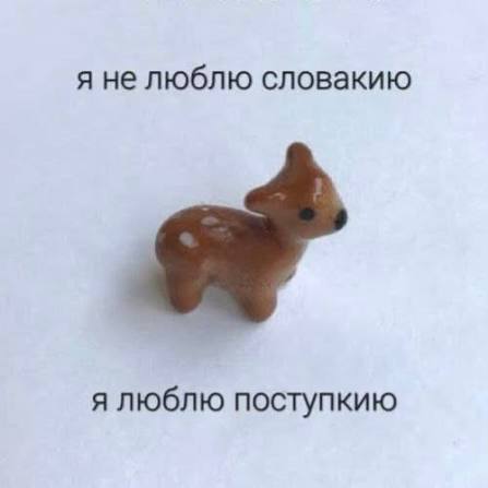Он: я подарю тебе весь мир, отвезу в Париж, на Мальдивы…
Мои географические предпочтения: