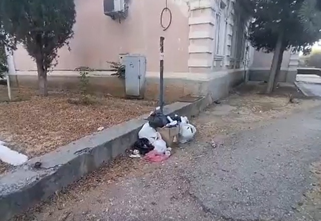 Проблема незаконного складирования мусора на улицах с...