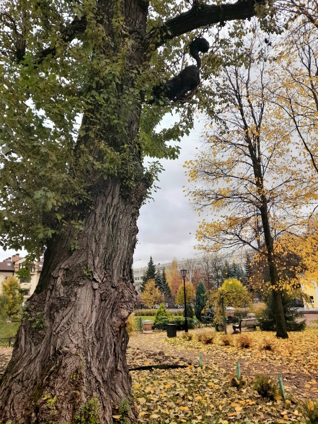 Осень в Карякинском саду ❤️
📷 Елена Михайлова