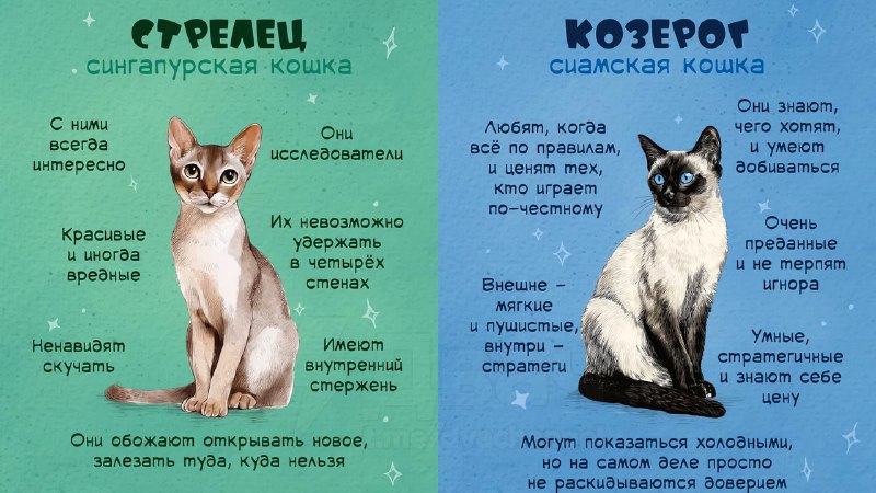 Российский астролог рассказал, какой вы кот по знаку зодиака
Ищем себя, кидаем друзьяшкам