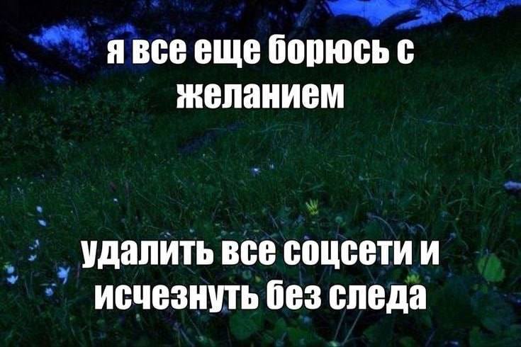 Утренняя подборочка