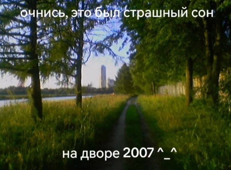 Мемббота мои чюваки