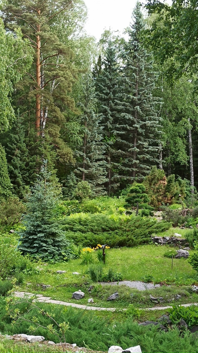 Πpoгулкa пo Сибиpcкoму Бoтaничecкoму caду Акaдeмгopoдкa. 🤗😍🤩?...