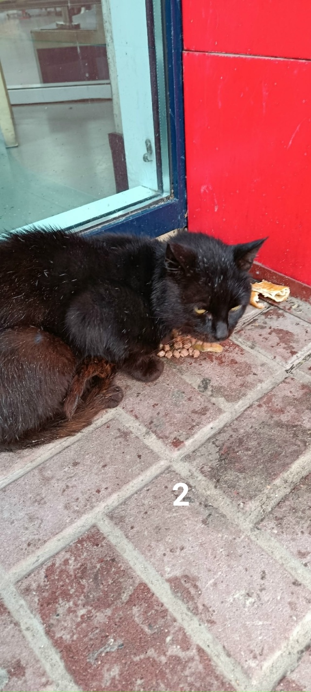 #ПотерялиНашлиПомогите
1 Найдена флешка около храма.
...