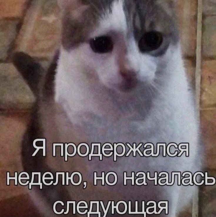 Ночная подборочка
Спать, режим