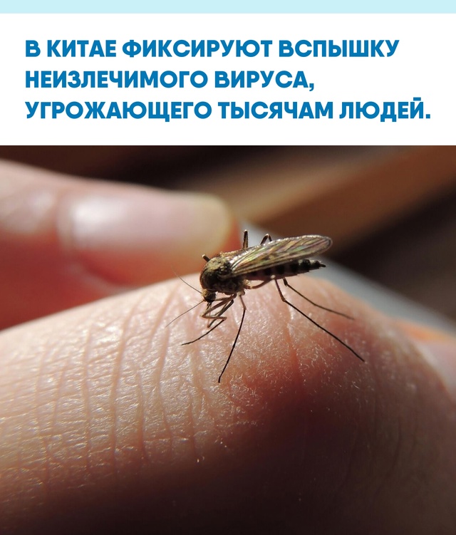 Когда вирус мутирует, а привычные методы не работают, д...